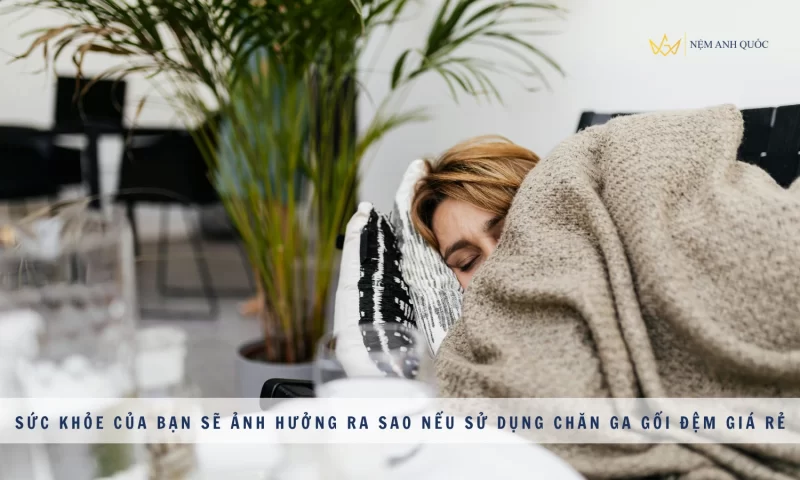 Sức Khỏe Của Bạn Sẽ Ảnh Hưởng Ra Sao Nếu Sử Dụng Chăn Ga Gối Đệm Giá Rẻ