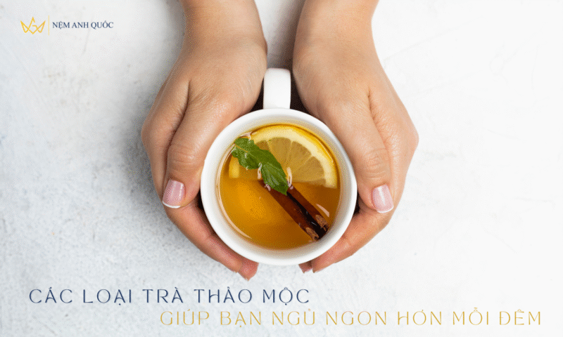 7 Loại Trà Thảo Mộc Giúp Bạn Ngủ Ngon Hơn Mỗi Đêm