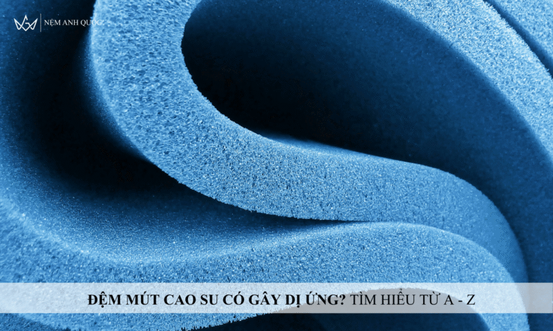 Đệm Mút Cao Su Có Gây Dị Ứng?