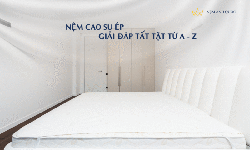 Nệm Cao Su Ép là gì Giải Đáp Tất Tần Tật Từ A - Z